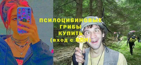 тгк Майский