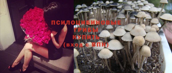 тгк Майский