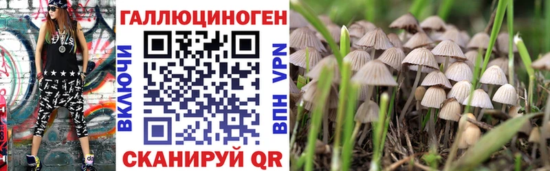 закладка  Обь  Галлюциногенные грибы Cubensis 