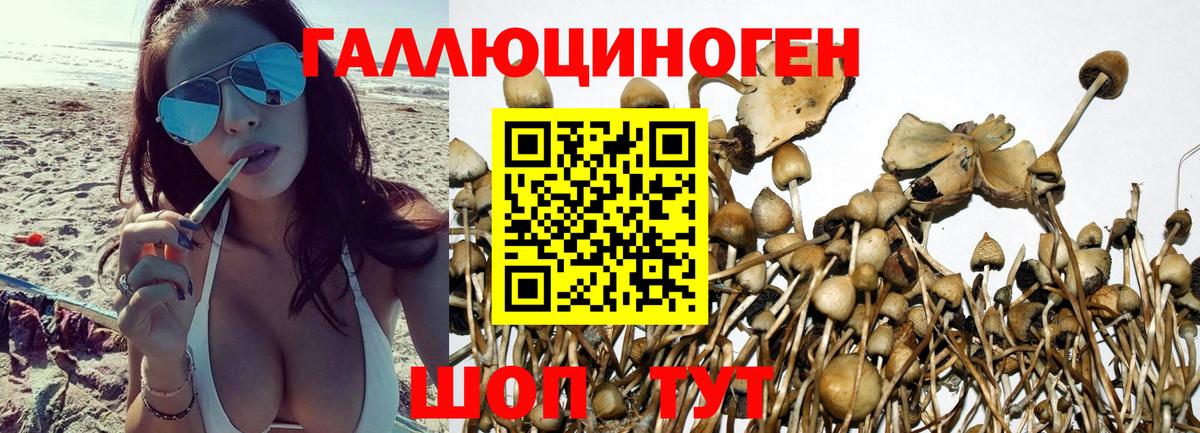 Псилоцибиновые грибы мицелий  Галлюциногенные грибы Psilocybe  где можно купить   Обь  Вход с VPN 
