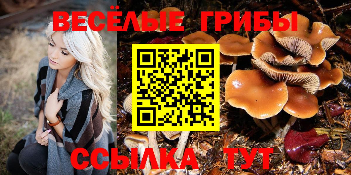 Обь  Псилоцибиновые грибы Magic Shrooms  Вход с VPN 