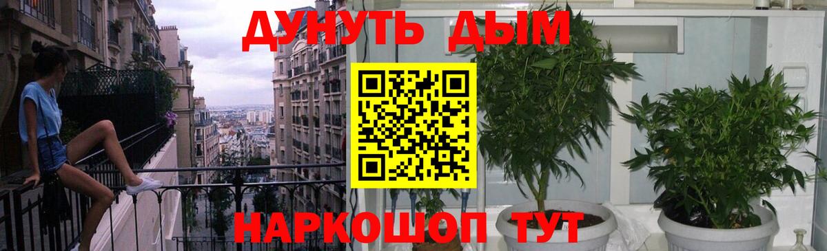 Обь  Канабис ГИДРОПОН  Вход с VPN  Каннабис план 